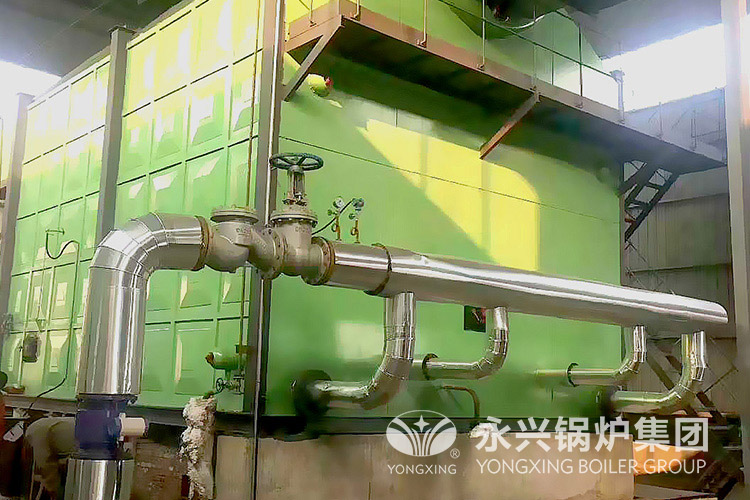 怡宝矿产资源勘查开发有限责任公司20吨蒸汽锅炉