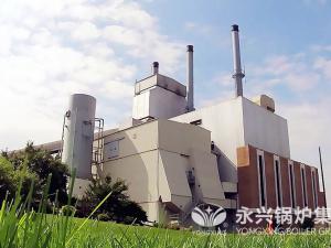 广印堂中药20吨循环流化床锅炉