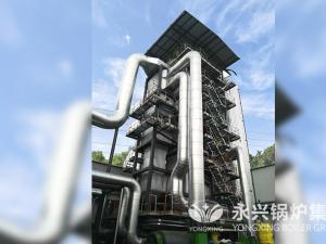 生化药业有限公司46吨循环流化床锅炉