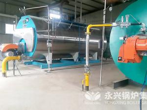 江苏轻石科技有限公司2台250万大卡导热油炉