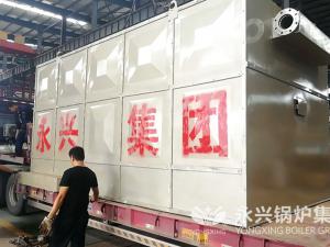 山东鄄城南港化工有限公司120万大卡导热油炉