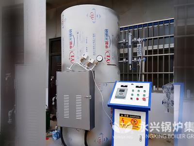 中原大酒店0.7MW热水锅炉
