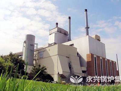 广印堂中药20吨循环流化床锅炉