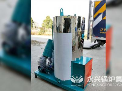 长葛卫校附属医院0.1吨电加热蒸汽锅炉