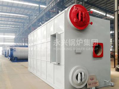 铁门水泥厂8吨蒸汽锅炉