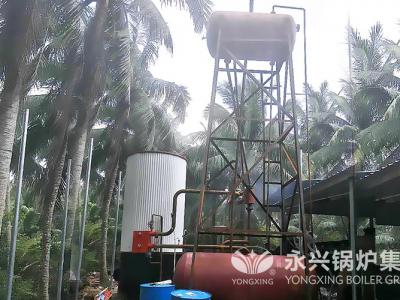 普洱道路桥梁工程公司80万大卡导热油锅炉